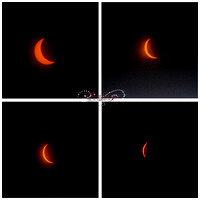 Solar Eclipse 8-21-2017